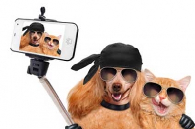 Le selfie pour chiens et chats !