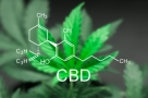 Huile CBD : les bienfaits constatés