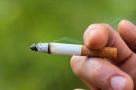 Le tabac en baisse en 2017