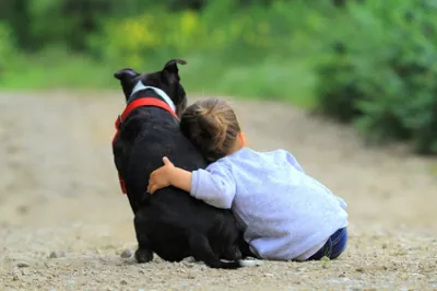 Les risques d’obésité et d’allergie en baisse... si on possède un chien !