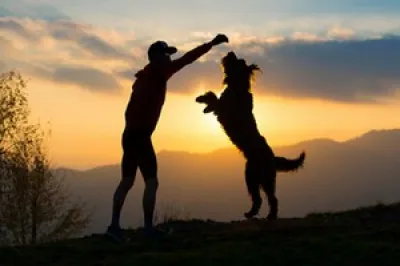 Avoir un chien permettrait de vivre plus longtemps !?
