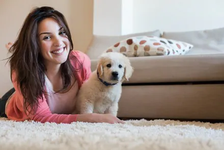 Du poison pour chien ou chat dans votre maison ?
